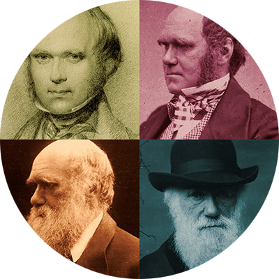 Darwin Correspondence Project project image