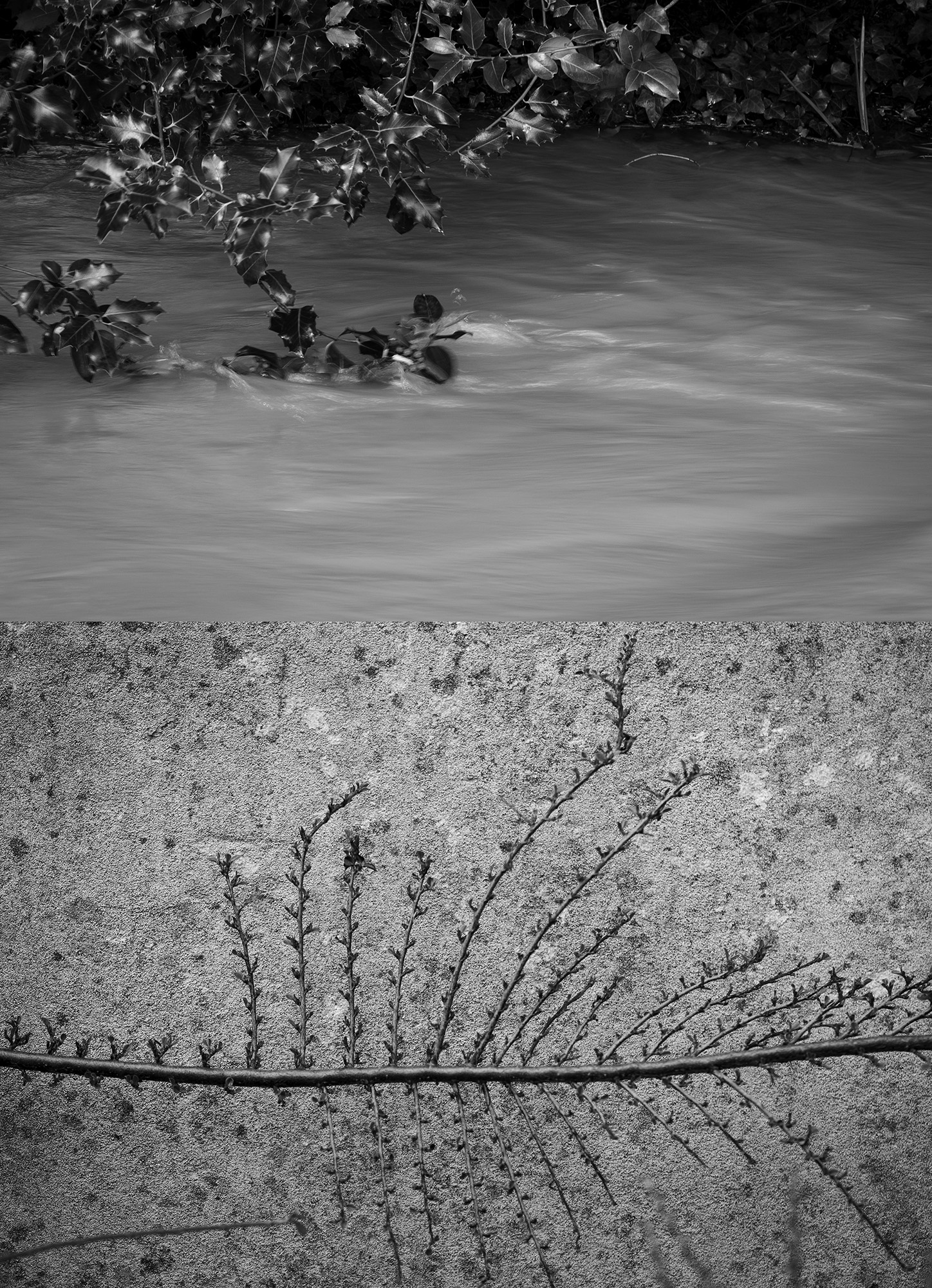 Image: The Bin Brook in spate and the still wall.