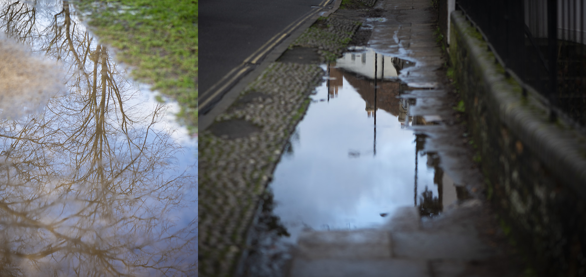 Image: Refleting pools in the landscape.