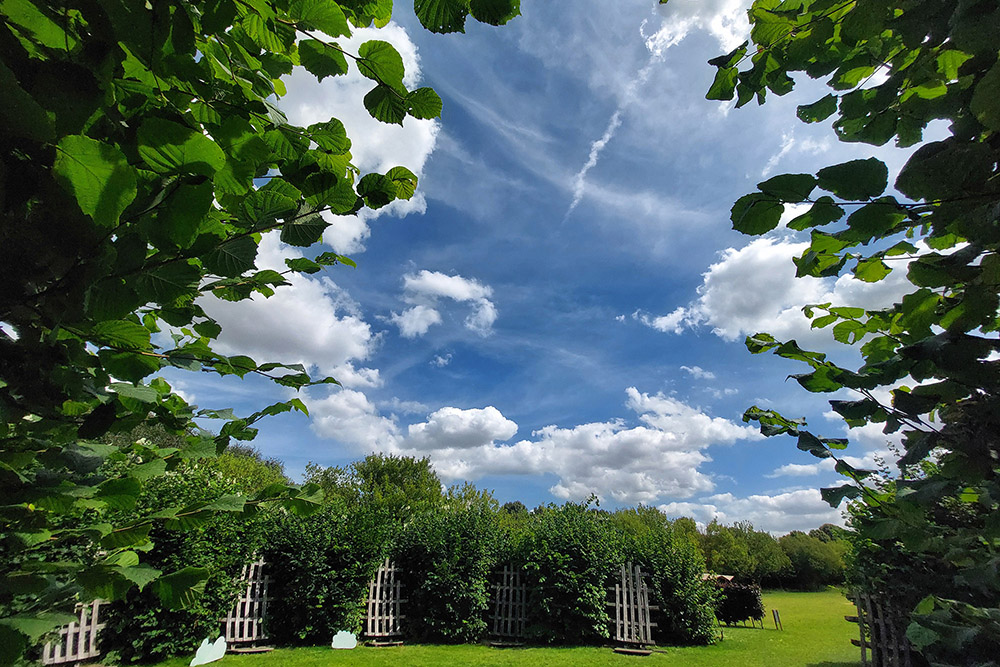 Image: A view from inside the circle of Oak structures on which people can lean back and look up at the sky, which are surrounded by small trees and shrubs. There are several different cloud types in the sky.