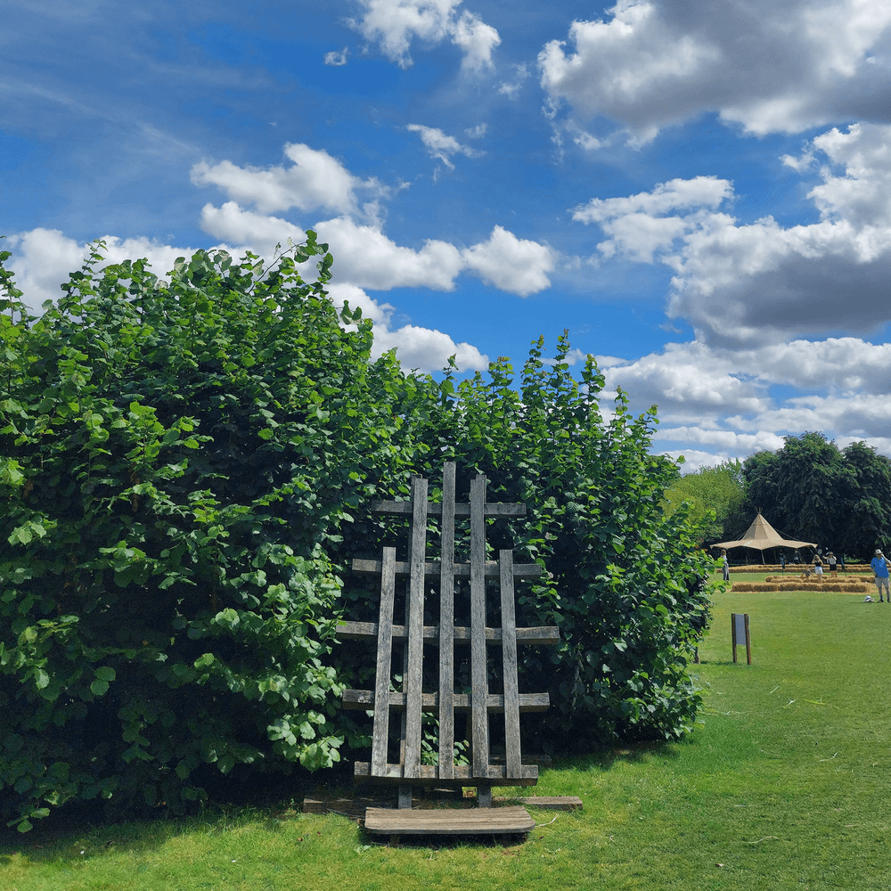 Image: A cycle of images in a gif showing each of the twelve oak support structures from directly opposite. The effect of the changing images creates a sensation of spinning around.