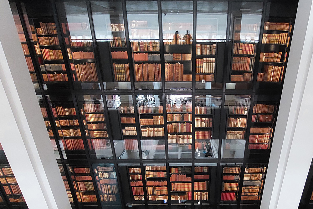 My silhouette reflected in 'The Kings Library'